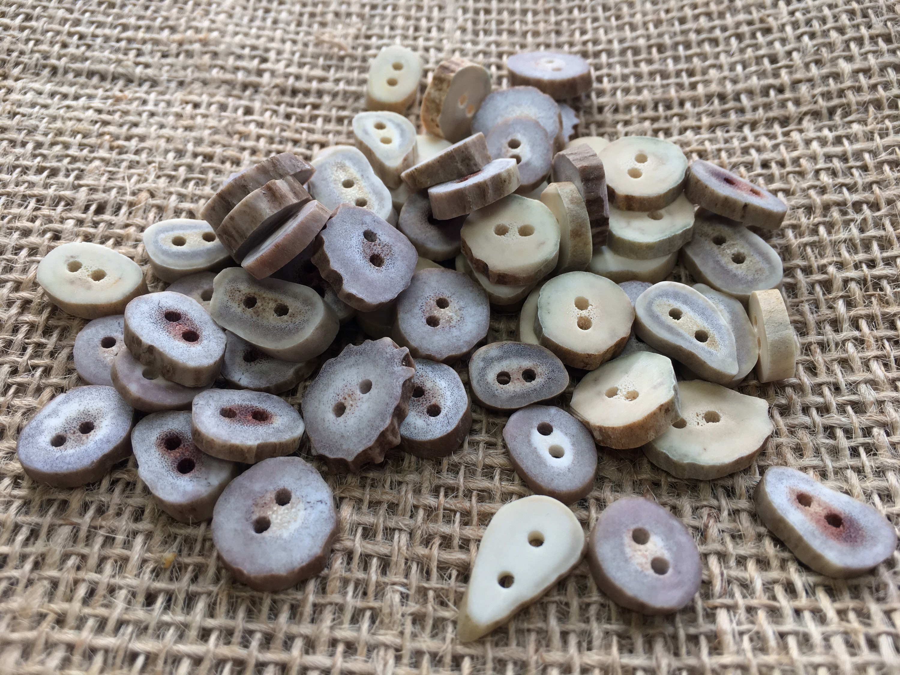 25 Mini Antler Buttons, Bulk Lot Natural Deer Antler Crafting