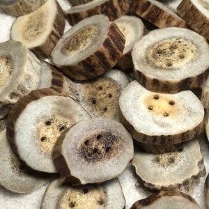 Antler Buttons, 4 ct. Medium Lg. Natural Deer Antler Bone Buttons/Crafting/Sewing/Knitting/Crochet/Woodland Country Organic Eco-Friendly image 10