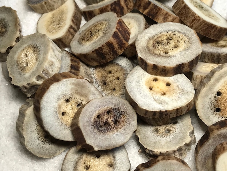 Antler Buttons, 4 ct. Medium Lg. Natural Deer Antler Bone Buttons/Crafting/Sewing/Knitting/Crochet/Woodland Country Organic Eco-Friendly image 10