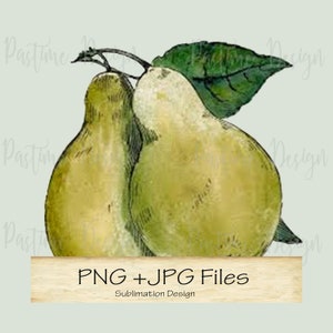 Vintage Obst Bild Birnen, Sublimation Birne PNG, Sofort download, Vintage Obst Illustration, Obst Druck, Vintage Obst Download, Obst digital