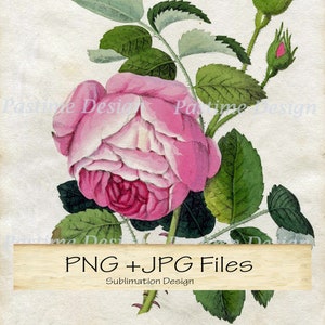 Pink rose vintage shop clothing brand