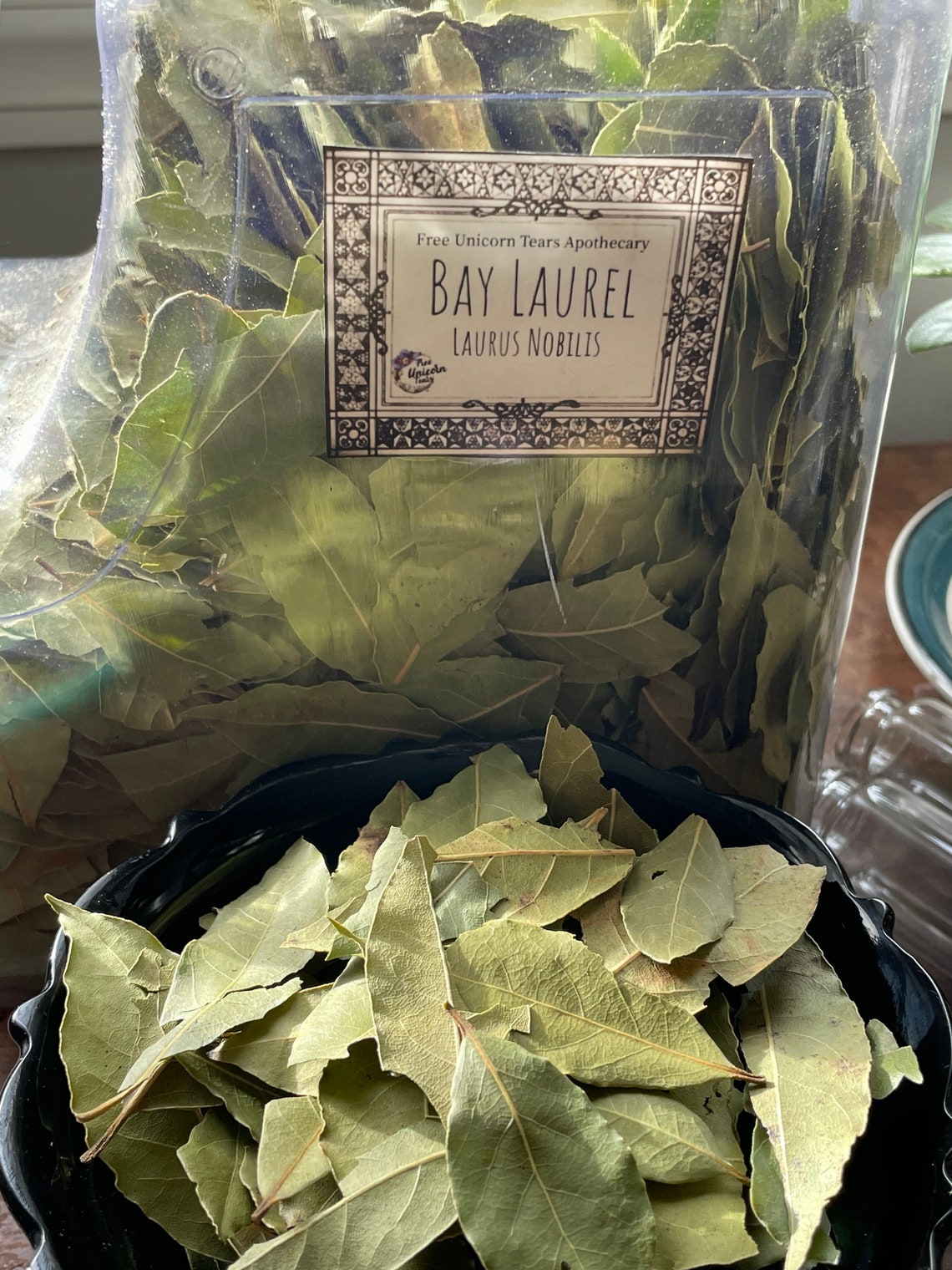 Bay Leaves Bay Laurel Leaves Bay Laurel Laurus Nobilis Etsy