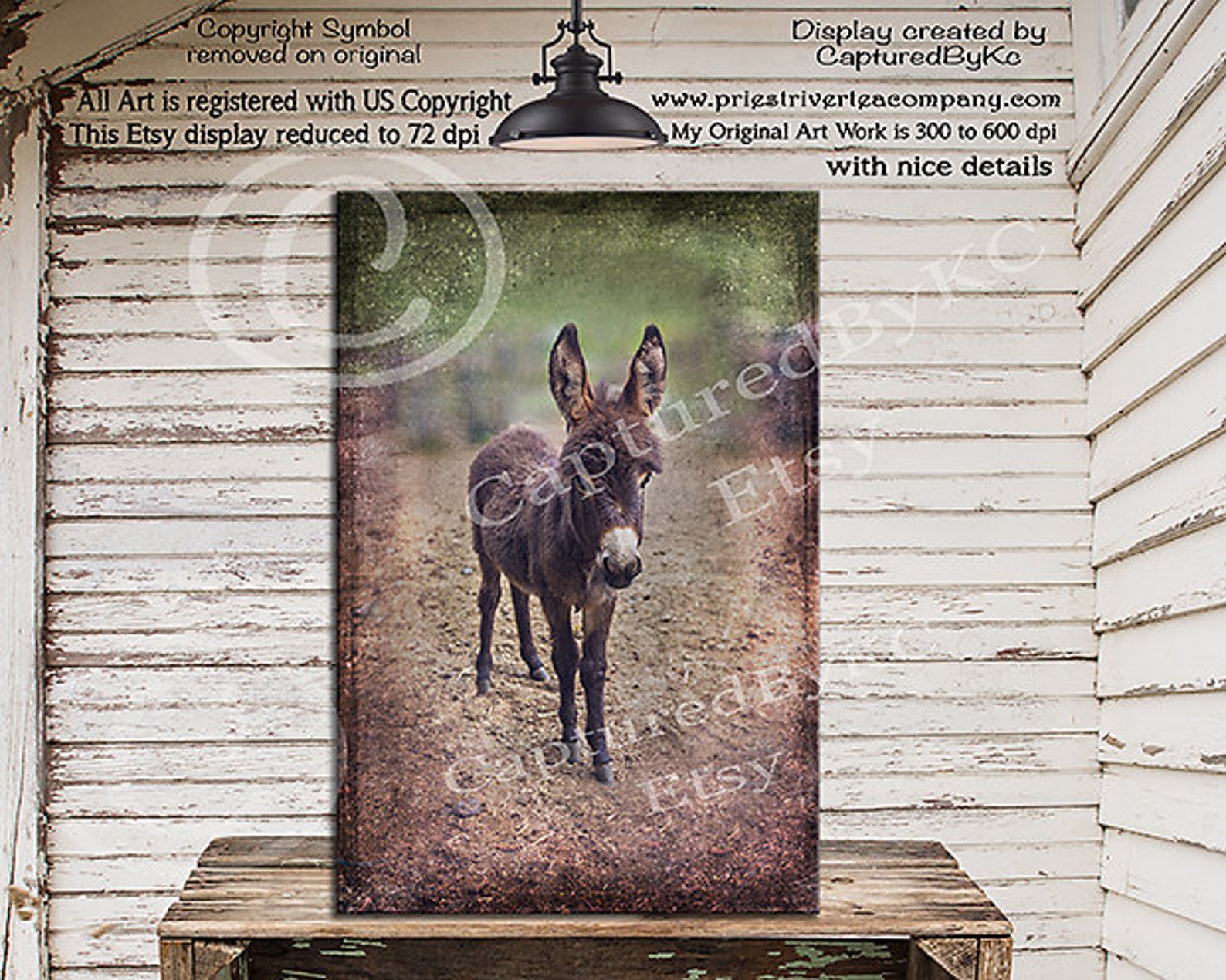 Donkey art Baby Donkey wall art Donkey wall decor Farm Etsy