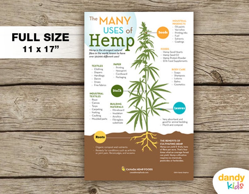 The Many Uses of Hemp Poster / 11 X 17 / Wall Art / Printable / Instant