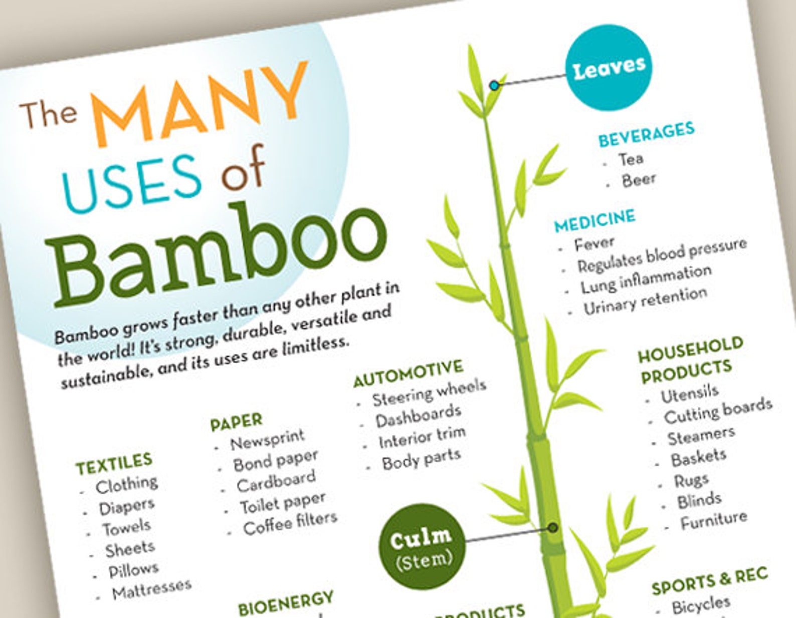 The Many Uses of Bamboo Poster / 11 x 17 / Wall Art / Etsy
