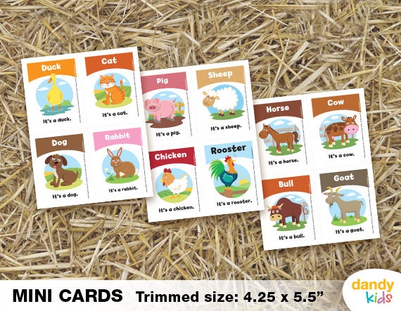 Animals On The Farm Childrens Learning Flashcards Preschool Cognition Flash Card String Set 20 Pieces