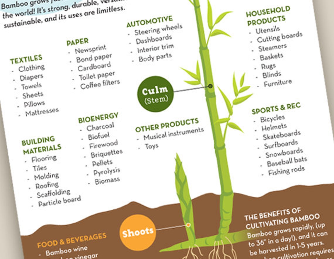 The Many Uses of Bamboo Poster / 11 x 17 / Wall Art / Etsy