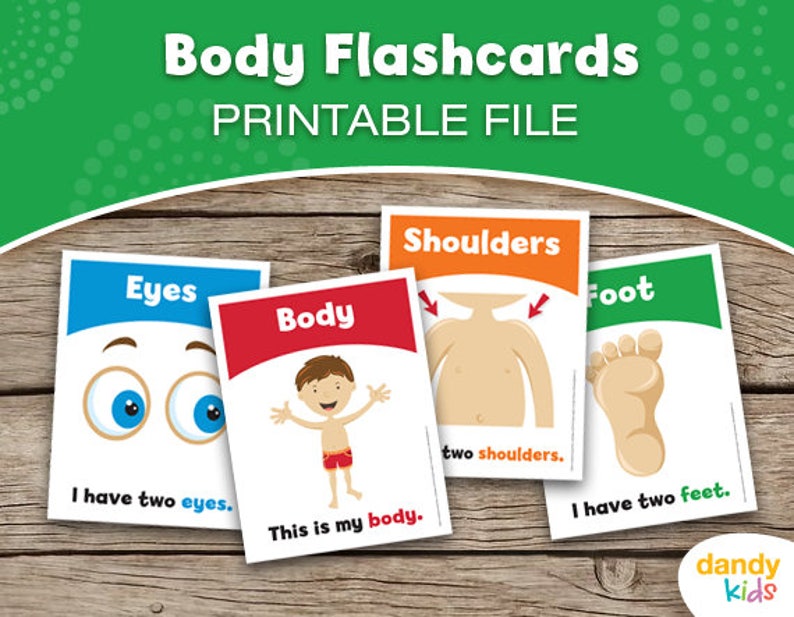 Body Flashcards / Printable Flashcards / Set of 15 / | Etsy