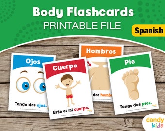 SPANISH Body Flashcards / Printable Flashcards / Set of 15 / Educational Flashcards