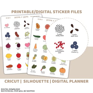 Schwangerschaft Wochen druckbare Aufkleber | Digitaler Planer Sticker Download | Schnittlinien | Planner Sticker Printable | D32