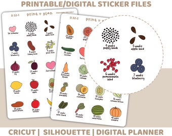 Pregnancy Weeks Printable Stickers | Digital Planner Sticker Download | Cut Lines | Planner Sticker Printable | D32