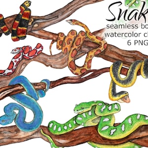 Aquarela Cobras borda perfeita сlipart 300 DPI clip art PNG desenhado à mão natureza árvore liana ramo decoração de casa
