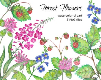 Bosbloem aardbei aquarel clipart zomer bloemen bes bruiloft uitnodiging scrapbooking set, png