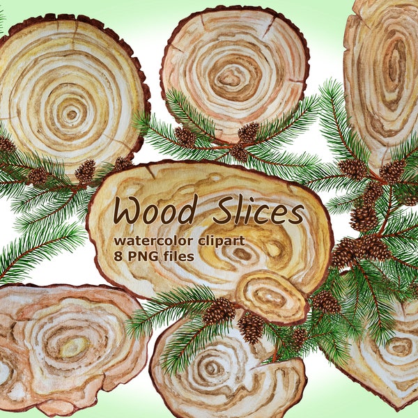 Watercolor Wood Slice сlipart 300 DPI clip art PNG hand drawn nature home decor branches pine spruce cones wreath frame