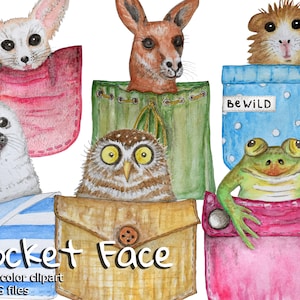 Aquarelle Animal dans Poche Clipart Sceau Petit Hibou Cochon d’Inde Kangourou Fennec Renard Grenouille Drôle de visage museau clip art PNG décoration intérieure Soyez sauvage