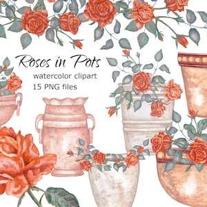 Aquarel Rozen in Potten Clipart Digitale PNG Valentijnsdag bruiloft liefde romantische verjaardag meisje onderdelen voor haar bloempot
