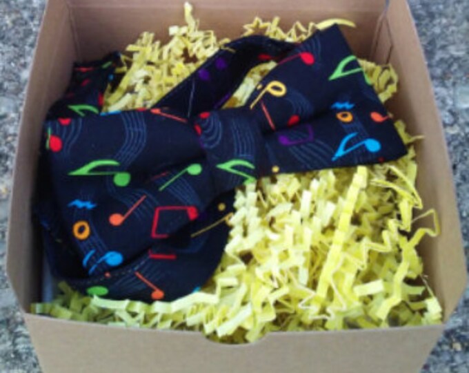 Musical Notes Bowtie