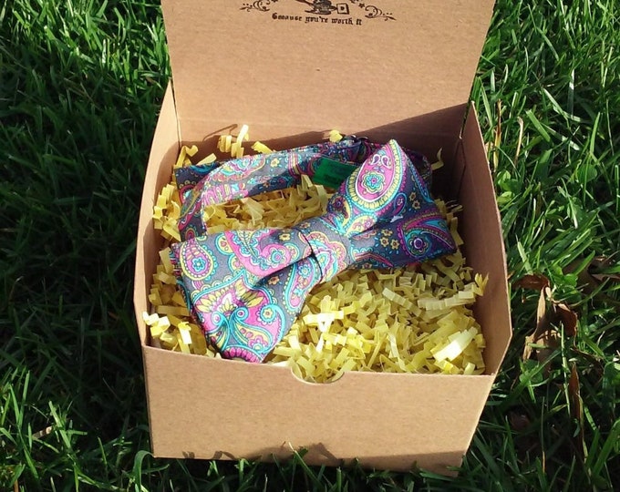 Mens Multicolor Paisley Bowtie