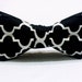 see more listings in the Men's Bowties  section