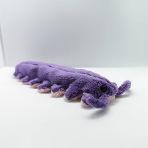 May include: A purple plush toy shaped like a segmented worm with pink feet and a black eye.