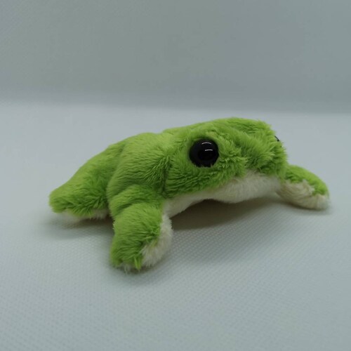 Made to Order Frog Beanie Plush Collectable by Froogandboog - Etsy