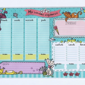May include: A turquoise weekly planner with a cat theme. The planner has sections for each day of the week, including Monday, Tuesday, Wednesday, Thursday, Friday, Saturday, and Sunday. There is also a section for important notes and a section for a grocery list. The planner is decorated with cute cats and hearts.