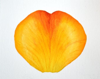 Watercolour orange rose petal- Original botanical painting by Sandrine Maugy