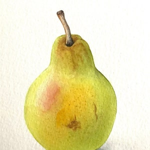 Acquerello originale Pera - Pittura botanica di Sandrine Maugy