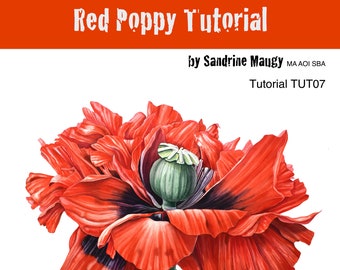 Watercolour painting tutorial with Sandrine Maugy- Red poppy - Instant download 8 pages