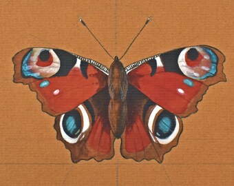 Watercolour and ink Peacock Butterfly - Original painting by Sandrine Maugy