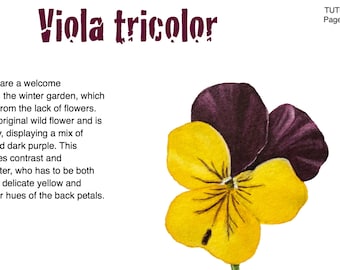 Watercolour botanical painting tutorial with Sandrine Maugy - Viola tricolor - Instant download