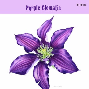 Watercolour botanical painting tutorial- Dark Purple Clematis with Sandrine Maugy
