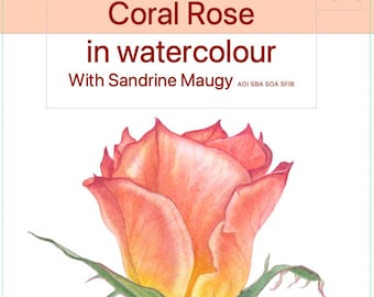 Watercolour botanical painting tutorial- Coral Rose with Sandrine Maugy