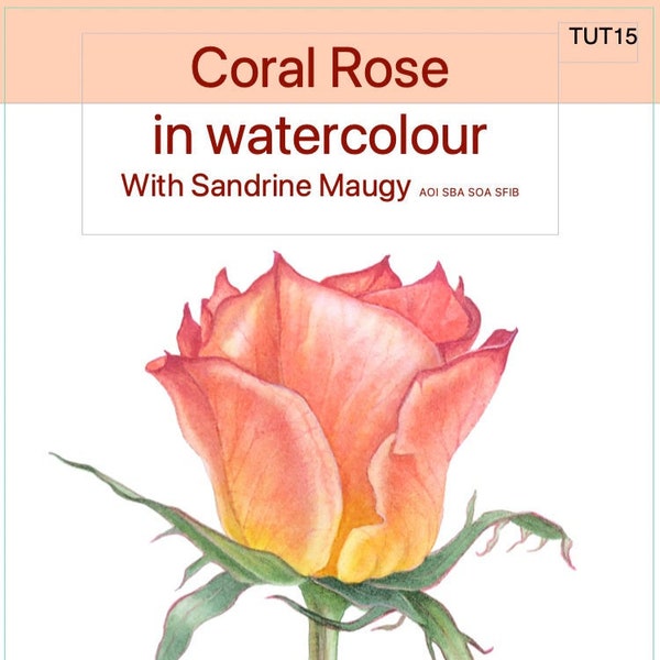 Watercolour botanical painting tutorial- Coral Rose with Sandrine Maugy