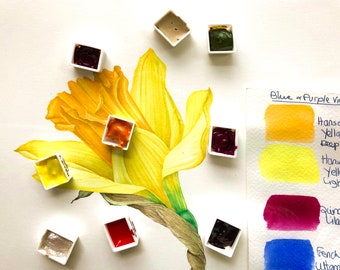 Sandrine Maugy's favourite pigments - Watercolour half pans - Samples