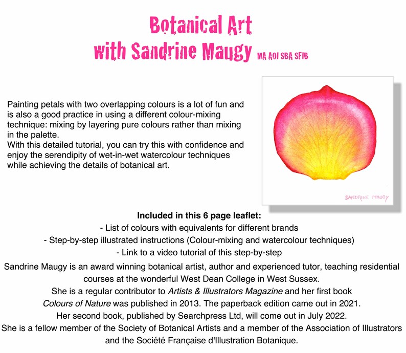 Watercolour botanical painting tutorial with Sandrine Maugy Pink & Yellow Rose Petal Instant download imagem 3