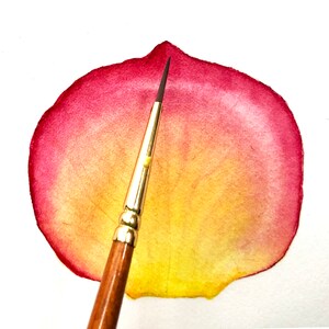 Watercolour botanical painting tutorial with Sandrine Maugy Pink & Yellow Rose Petal Instant download image 2
