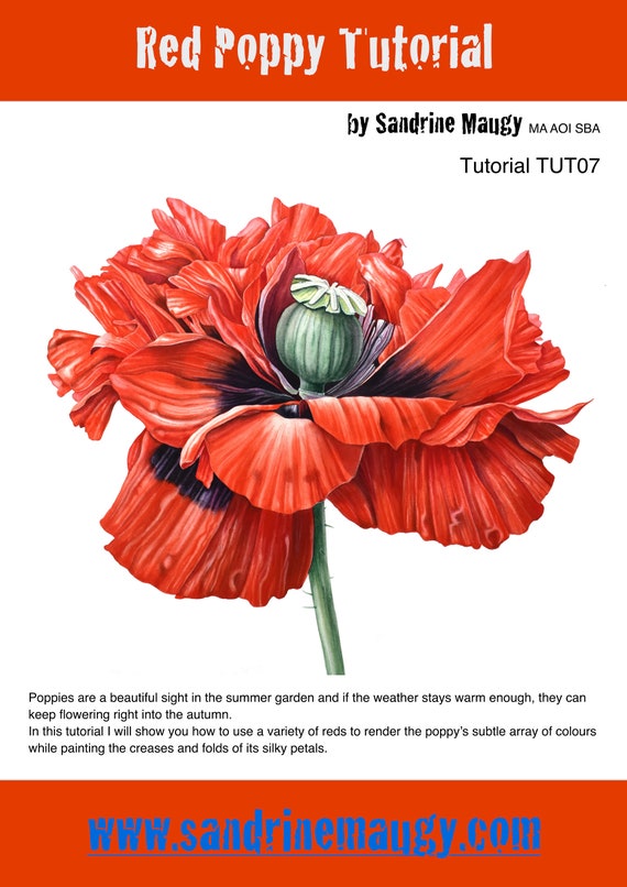Watercolour painting tutorial with Sandrine Maugy- Red poppy - Instant download 8 pages
