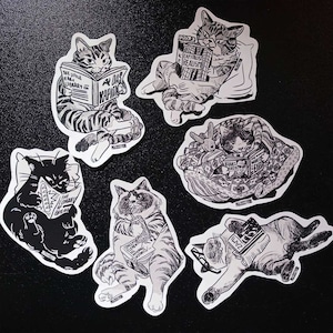 Chats lisant des livres socialistes 6pcs