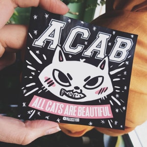 sticker all cats are beautiful leftist antifascist