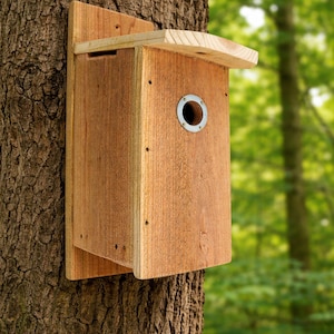 Può includere: Una casetta per uccelli in legno con un ingresso circolare e un piccolo tetto è montata su un tronco d'albero. La casetta è in legno marrone chiaro e ha un anello di metallo attorno al foro d'ingresso. Lo sfondo è sfocato con fogliame verde.