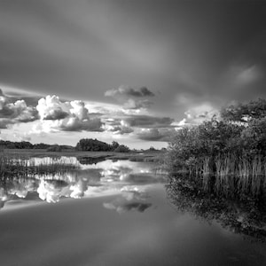 Western Everglades Florida in Monochrome Fine Art Photography Matted Print