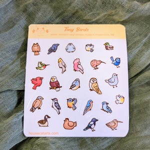 以下が含まれることがあります： 様々な小さな鳥のイラストが描かれた、耐水性ビニールステッカーのシート。フクロウ、ハチドリ、その他のカラフルな鳥のステッカーが含まれています。「Tiny Birds」の文字が上部にあり、ウェブサイトhousecatarts.comが下部にあります。