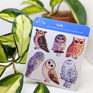 Feuille d&#39;autocollants hibou