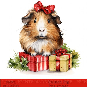 Kerst cavia clipart sublimatie ontwerp cavy sublimatie afbeelding klein commercieel gebruik kaarten maken scrapbooking strikken maken