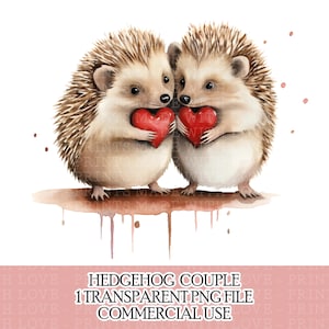 Hérisson Couple Clipart PNG Sublimation Design M. Mme Valentine’s Clipart Petite utilisation commerciale Fabrication de cartes Artisanat Téléchargement instantané