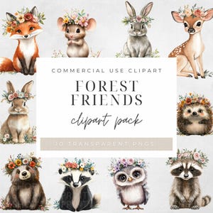 Ensemble de 10 cliparts amis de la forêt animaux des bois Floral usage commercial PNG Renard souris Lapin Ours Blaireau Hérisson Hibou Cerf Lapin
