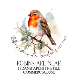 Robins verschijnen wanneer dierbaren in de buurt zijn sublimatieontwerp Kerstmis Sublimatieontwerp Herdenkingsontwerp Kerstmis in de hemel Commercieel gebruik
