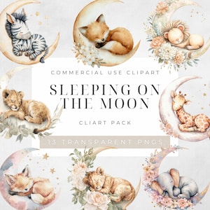 Sleeping on the moon animal Baby Shower birthday Clip Art  Crafting Sublimation Junk Journal Card  Small Commercial Instant Download png