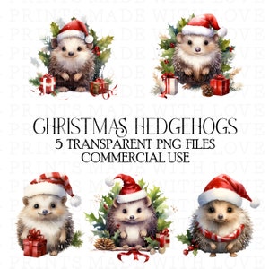 Natal, ouriços, festivo, sublimação, design, ouriço, cartão, fazendo, scrapbooking, arco, fazendo, aquarela Clipart
